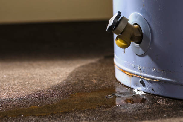 Best Ceiling water damage repair  in Redland, MD