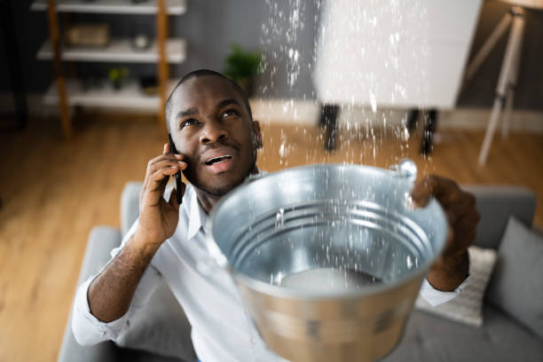 Best Water damage contractors near me  in Redland, MD