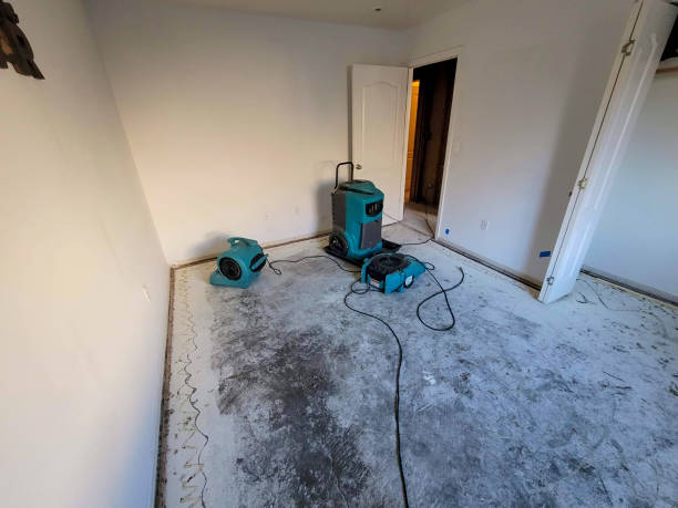 Best Water damage restoration near me  in Redland, MD