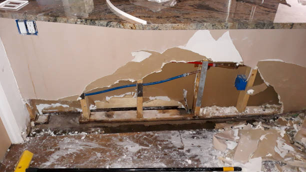 Best Carpet water damage restoration  in Redland, MD