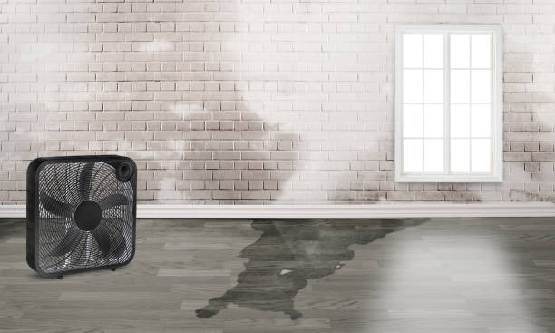  Redland, MD Water damage restoration Pros