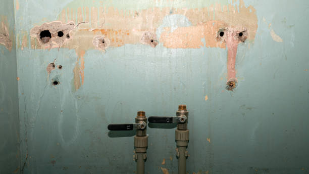 Best Water damage restoration cost  in Redland, MD