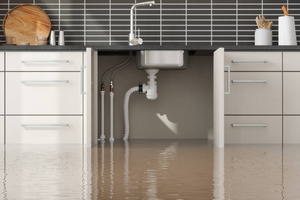 Best Flood damage cleanup  in Redland, MD