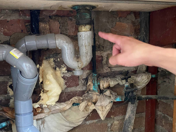 Best Basement water damage restoration  in Redland, MD