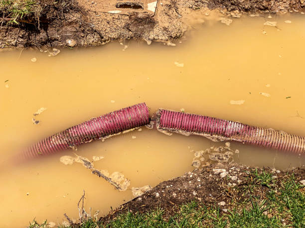 Best Emergency water damage restoration  in Redland, MD