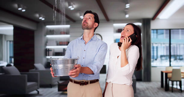 Best Water damage restoration specialists  in Redland, MD