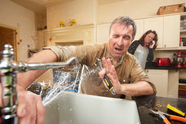 Best Sewage cleanup and water damage restoration  in Redland, MD